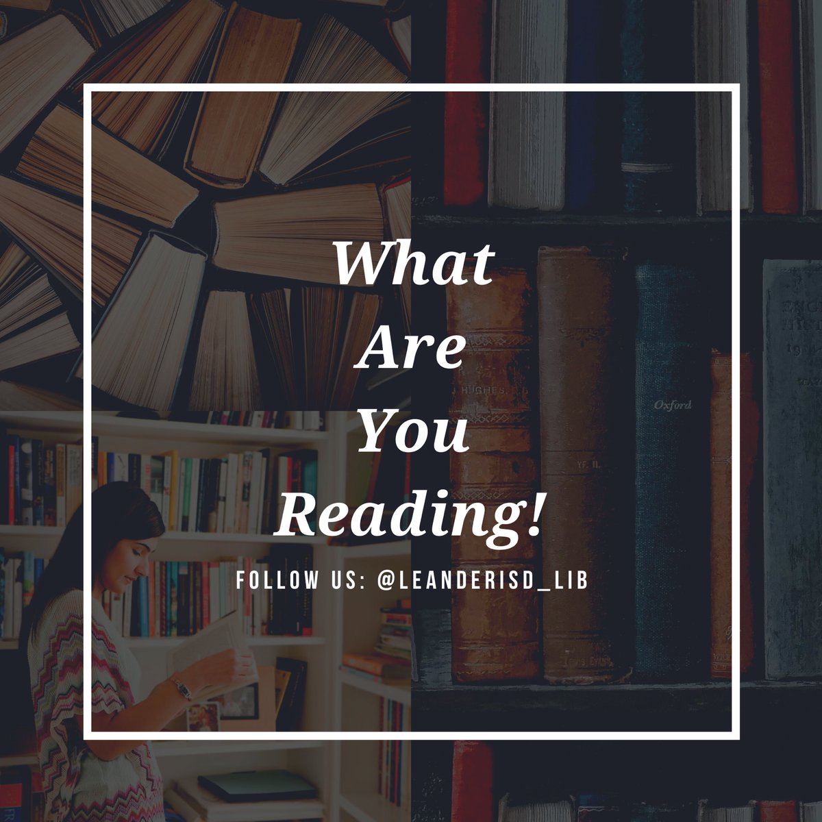 LeanderISD Libraries tweet media