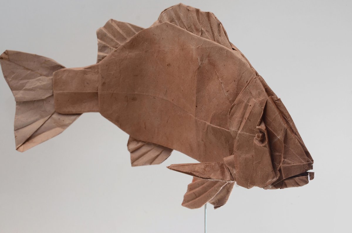 「しばらく気に入って使っていた僕の魚の基本形」|南のアルパカのイラスト