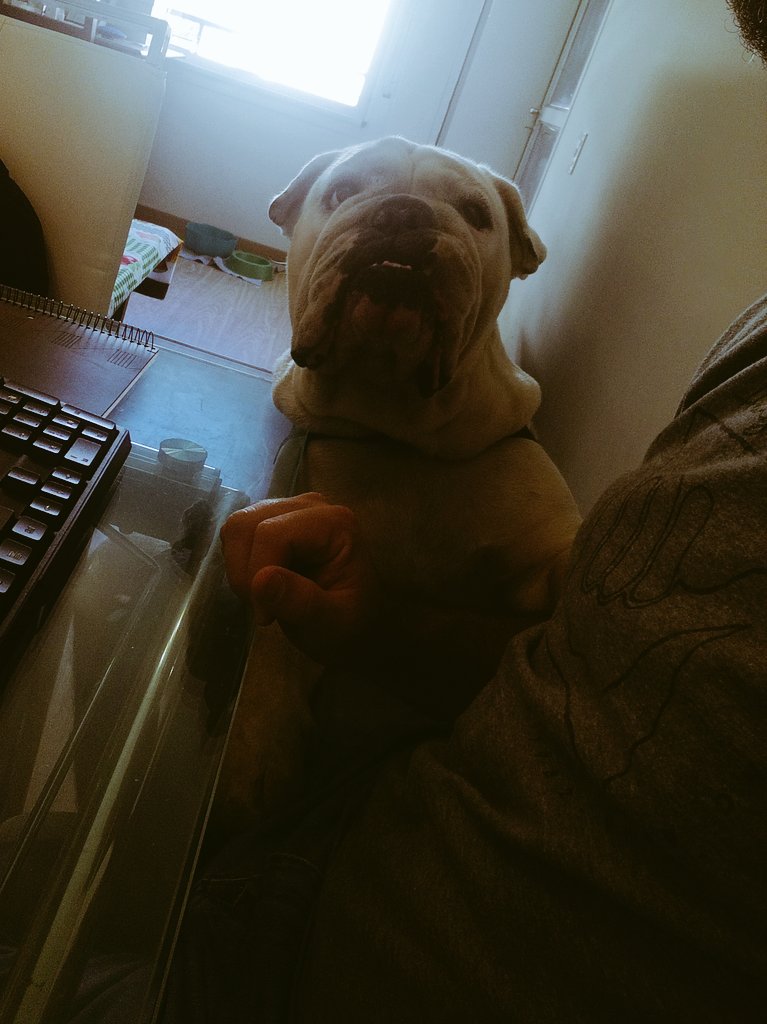 Josecitoruiz's tweet photo. Home office.. https://t.co/ARKokj9ObW