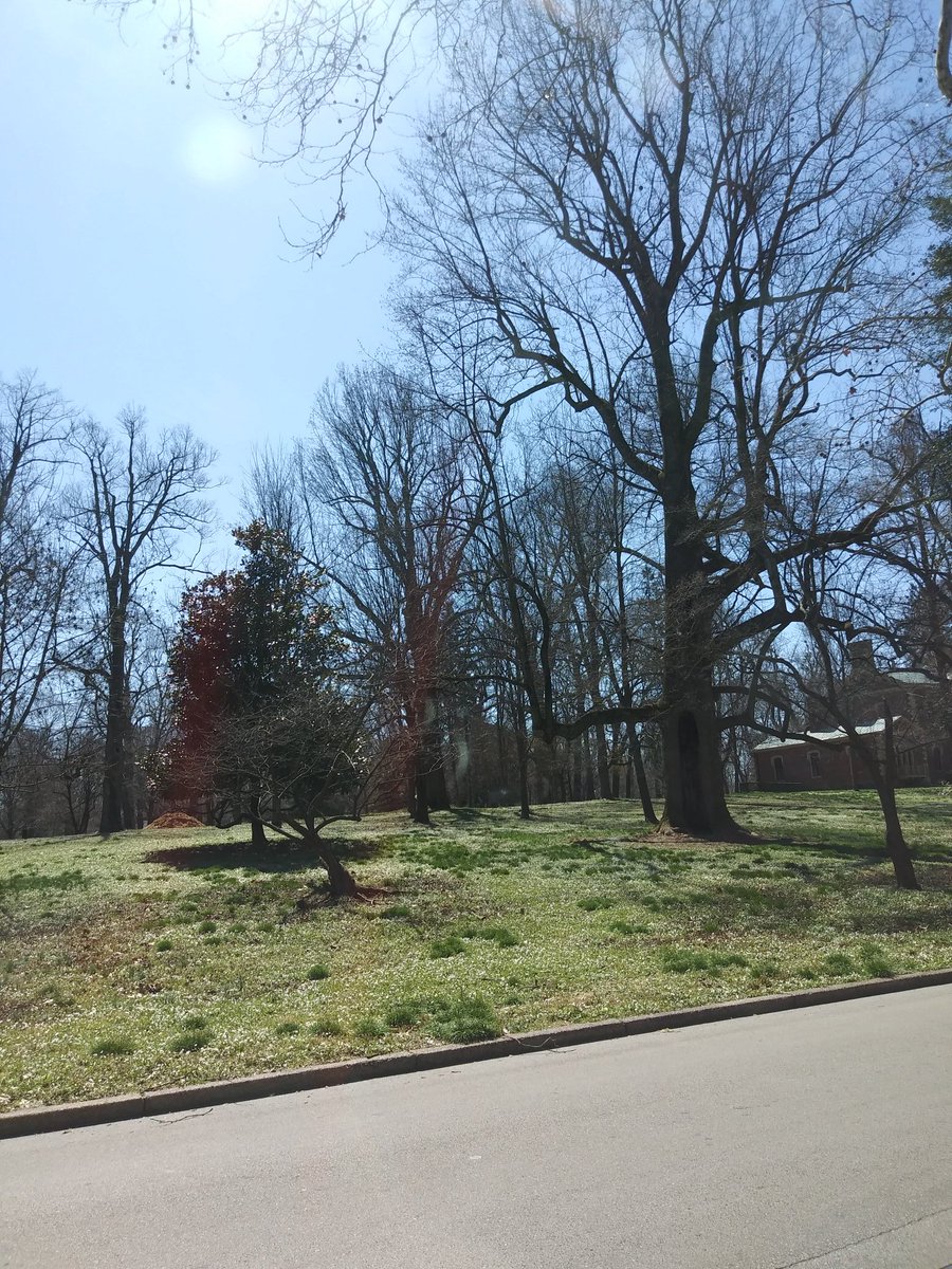 localslex tweet media