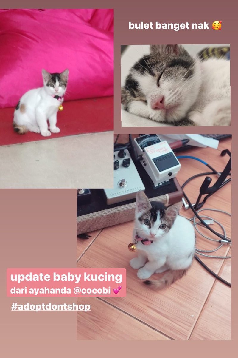 🥺