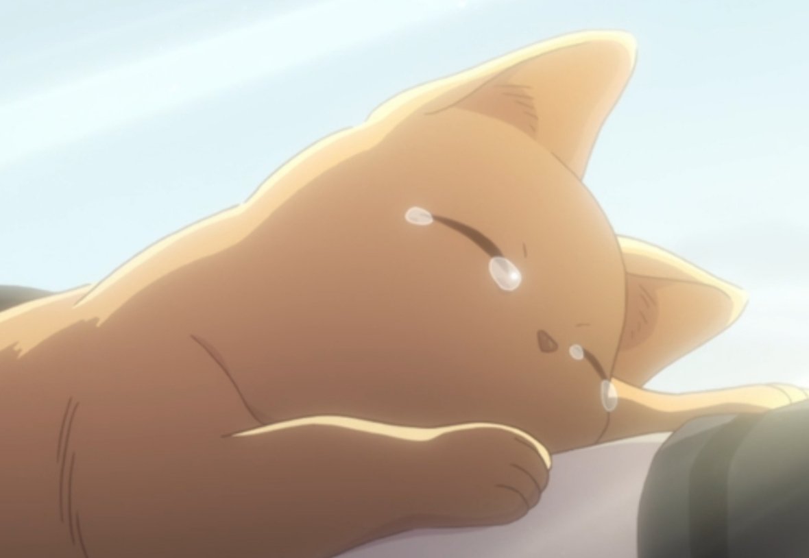 ConstantSong's tweet photo. Just finished the first season of Fruits Basket. 

It's fine. I'm not crying. 

#definitelycrying #fruitsbasket https://t.co/3r8GJWbZ7P
