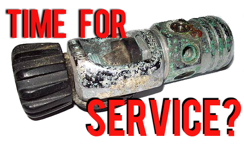 GroundhogDivers's tweet photo. The "Service Rush" has already begun! https://t.co/p1znPeh6Y3 https://t.co/WqfoaMe3F1