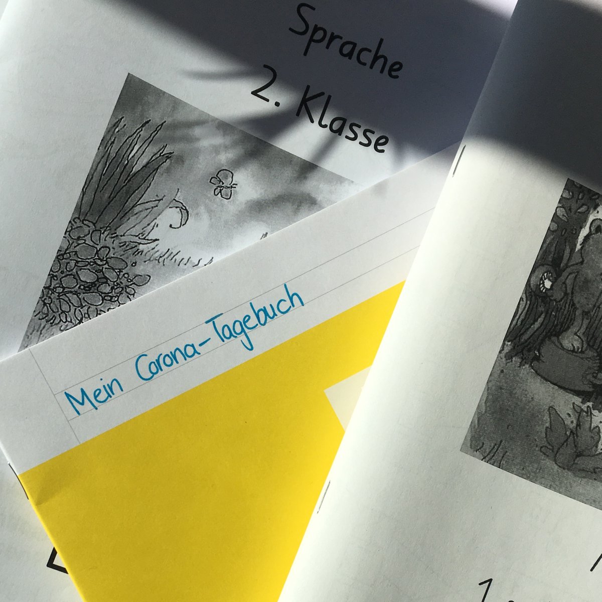 JullBTS's tweet photo. #Covid_19 treibt das Schweizer Bildungssystem zu pädagogischen Höchstleistungen. Schreiben? - Ja. In einem Corona-Tagebuch? - ähm, können wir dieses Heft nicht gleich isolieren? 

#OverWriteTheCrisis #JullAtHome
#Jullneverwritealone @JullTwit https://t.co/0M6CvvSxv3