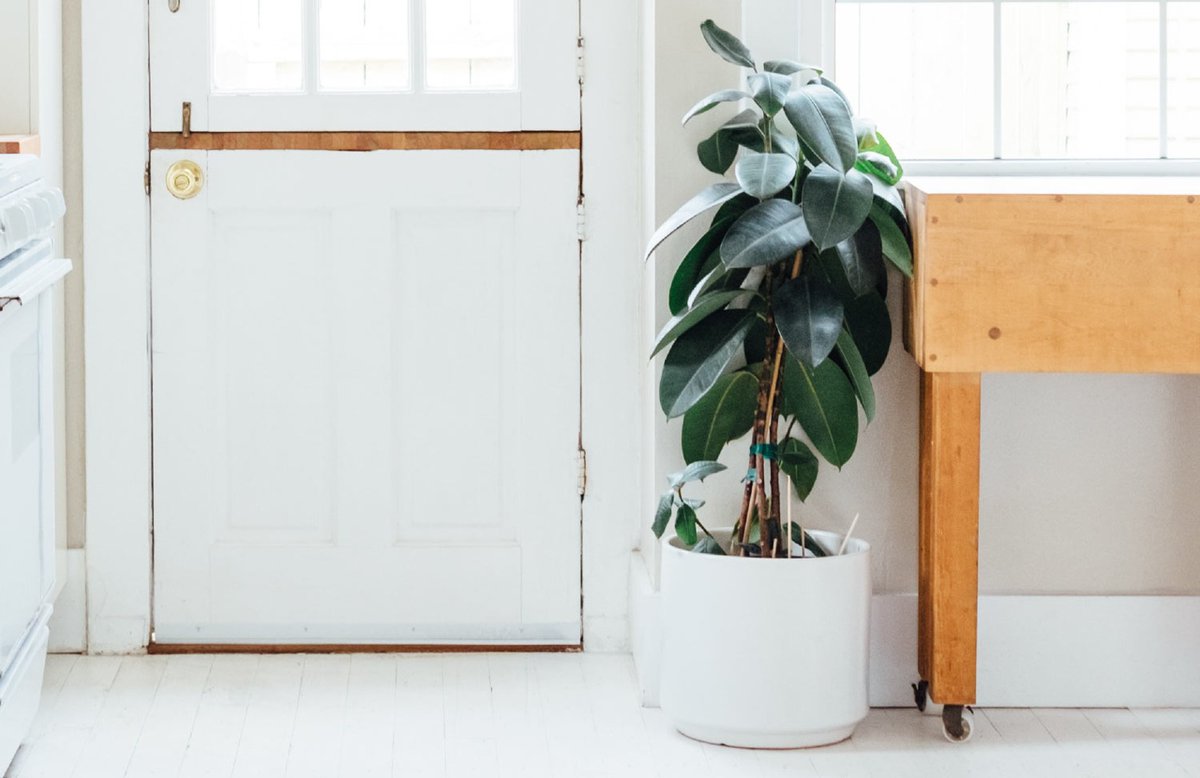 ApexMagnets's tweet photo. It’s spring cleaning season! Follow these magnet hacks to make the cleaning process easier. 

https://t.co/u4e6tmzvjm https://t.co/ccXhTB9vSI