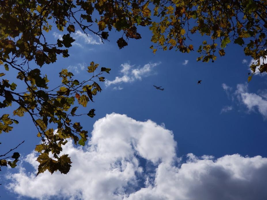 ابن العميد 🖤 tweet media