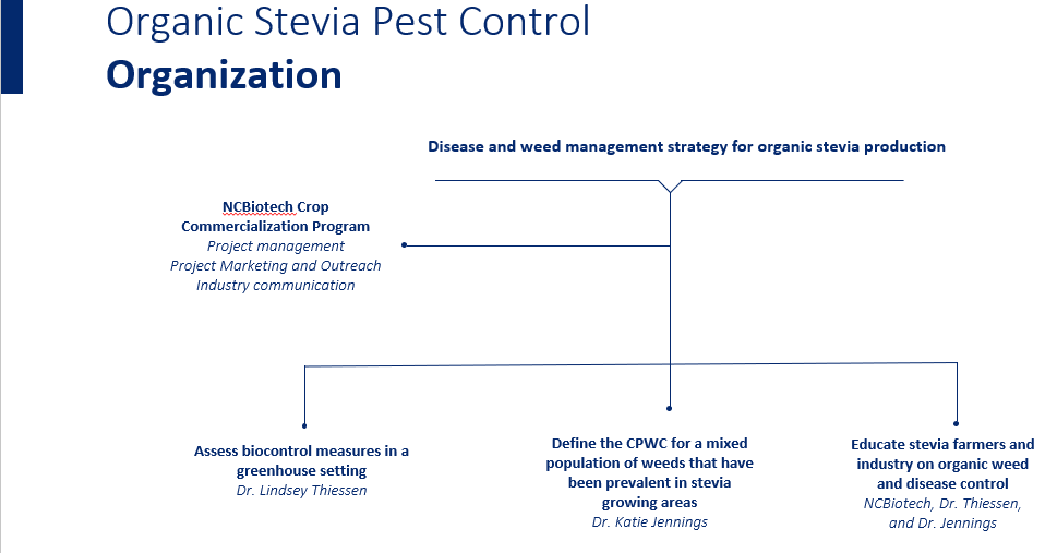 Inadequate fungal disease and weed control could limit value for NC #Stevia. CCP's collaboration with @ThiessenLab and @kmjennin evaluates practices for both to support the growth of stevia in NC. #naturalsweeteners. @NCAgriculture @NCExtension @NCHempIndustry