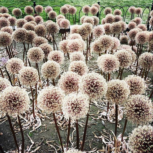 Linda Holt tweet media