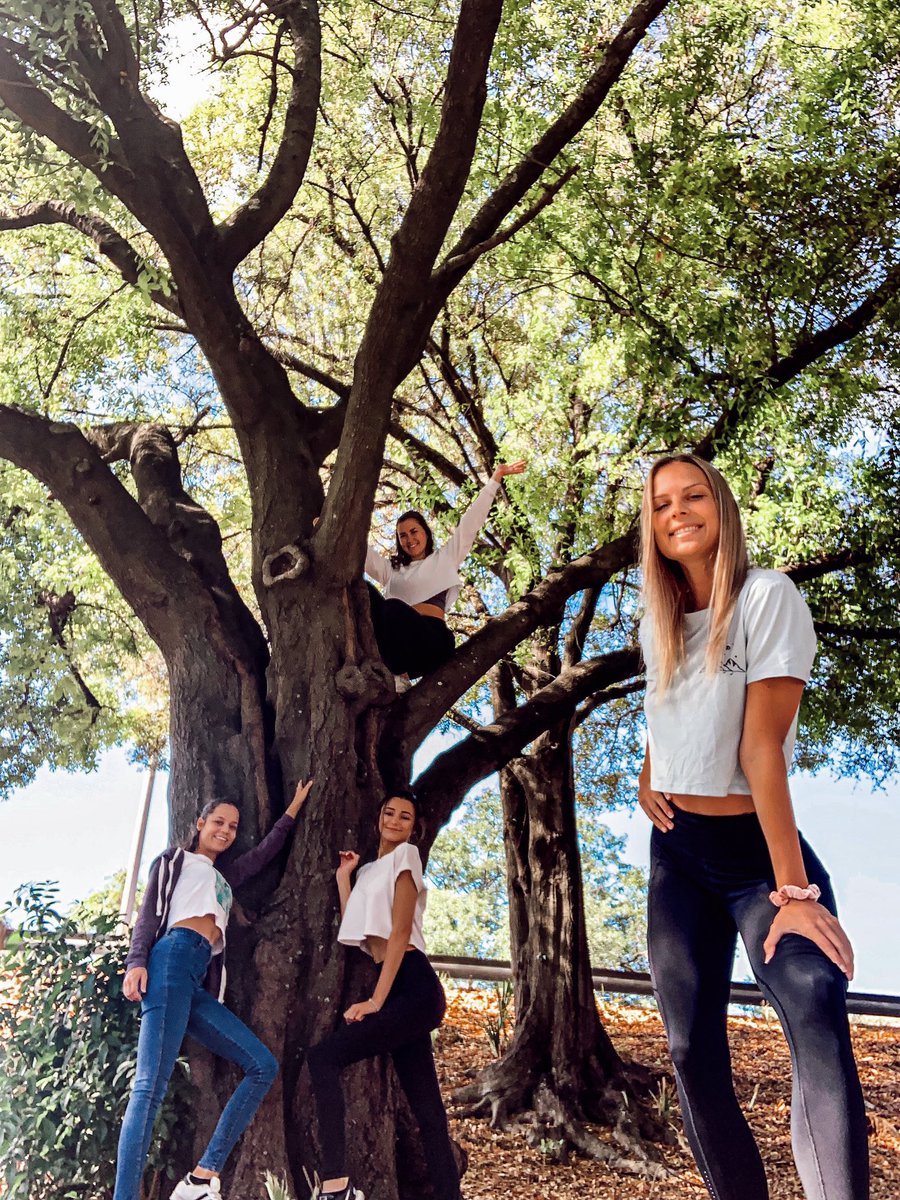 Eye spy with my little eyes 👀 The girls are having so much fun today and can’t wait to see you in here for Lunch ☘️  #hattricks #monkeyinthetrees