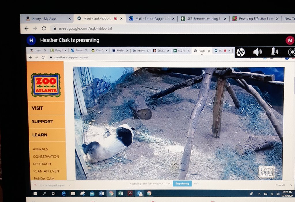 TeacherKPaggett's tweet photo. Oh the things we can do and the places we can go!โค๐โค #RemoteLearningHCS2020 @HClark2018's 2nd grade scholars visited @ZooATL and @GeorgiaAquarium this morning to compare and contrast pandas & penguins!๐ฅฐ๐ฏ๐ฏ #AMAZING #NeverStopLearningHCS @AusmoreT @bea_holmes1 @DMitchellSES https://t.co/HNm6kzCOkV