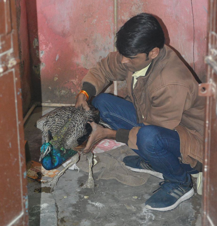 TreemanOfIndia's tweet photo. सच बोलने के चक्कर में हो सकता है आपको पता भी ना चले और आप समिति सदस्य सूचि से ही गायब कर दिए जाएं!
इसलिए बेहतर है कि वज़ीफ़े के लिए ना सही, सेवा के लिए ही सही, ज़मीर को मारीए, तलवे चाटिये, शान में क़सीदे गढ़िए...
#environmentcommittee #environmentalcommittee @SachinPilot @pantlp https://t.co/acXlCaWe3N