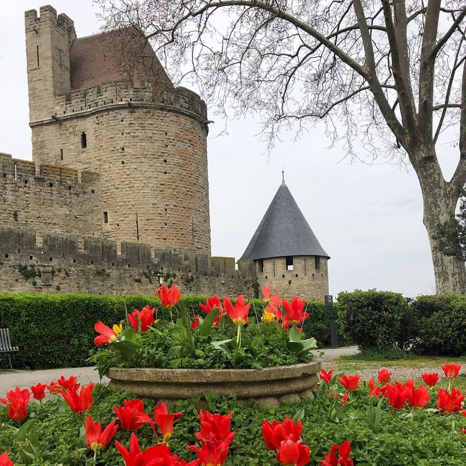 Centre d'Histoire Vivante Médiévale et Renaissance tweet media