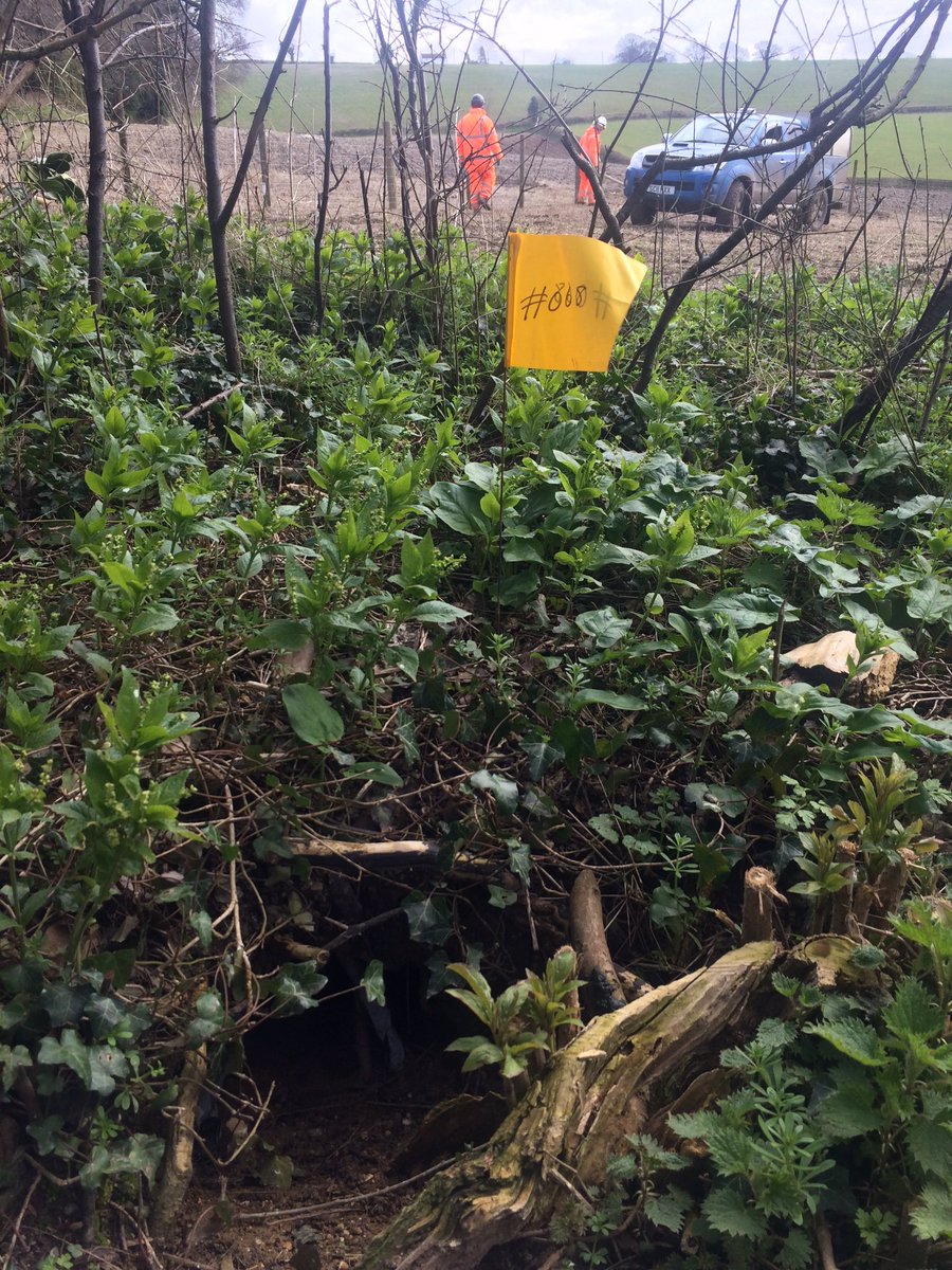 WARcampHS2's tweet photo. A message from the front line of the #fightagainst #HS2 the #ecocide and #destruction of #farms #family #livelihoods in the #uk we need to #saveourcountryside and #stANdforthetrees it’s time to #StopHS2 #FridayThoughts https://t.co/RwnfbbhYgM https://t.co/mNKEZIIWPv