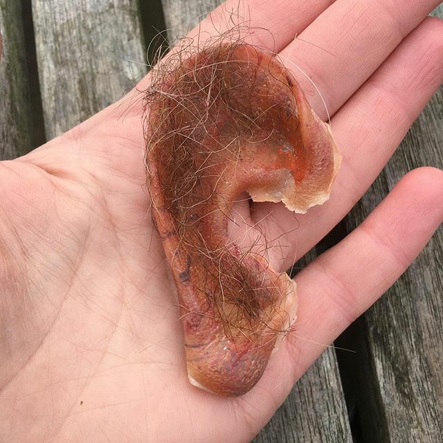 We’re all listening! To our Mother Earth breathing a big sigh of relief as we keep still. Prepare for keeping still. It’s a joy not to see so many planes in the sky. To see pictures of wild boars roaming piazzas and cleaner canals with dolphins in them. … ift.tt/2Uonq4j