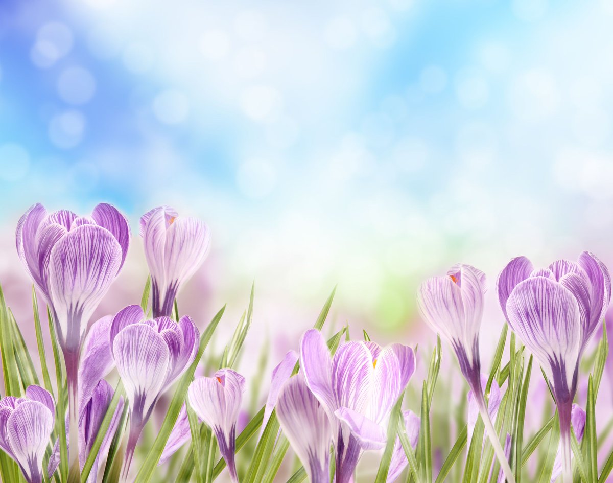 If you want a low maintenance garden, there's one simple thing to do - limit the number of different plants you have, as the fewer you plant the lower the maintenance will be. Stick to between 5 and 10 varieties for minimum effort! #gardening #PropertyIdeas #ThursdayThoughts