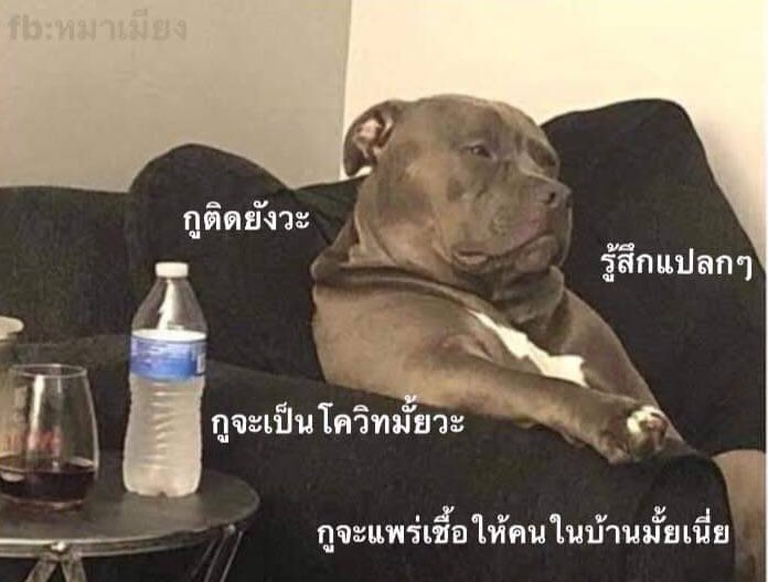 𝙿𝚊𝚐𝚎 𝟹 𝚘𝚏 𝟷𝟸 ☀︎⏾ tweet media