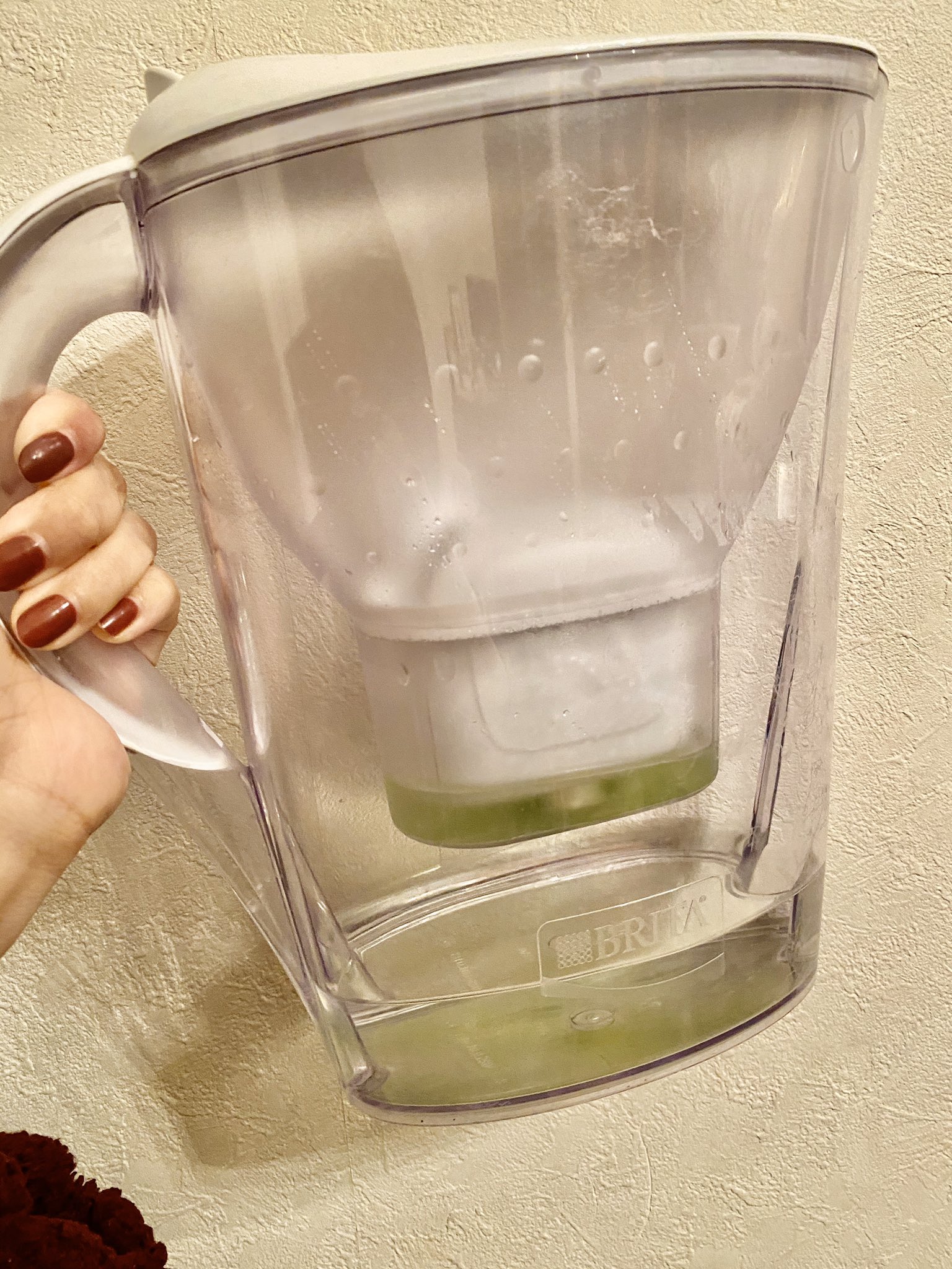 טוויטר 黒川さや花 בטוויטר ブリタって苔生えるのね Brita 苔 栽培 T Co Xqm7xtb4xb