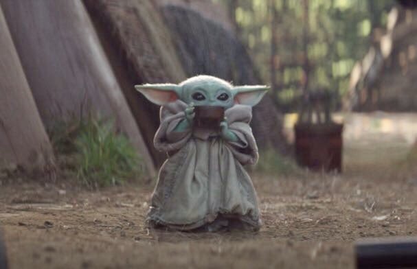 Dr. Rob Jackson tweet media