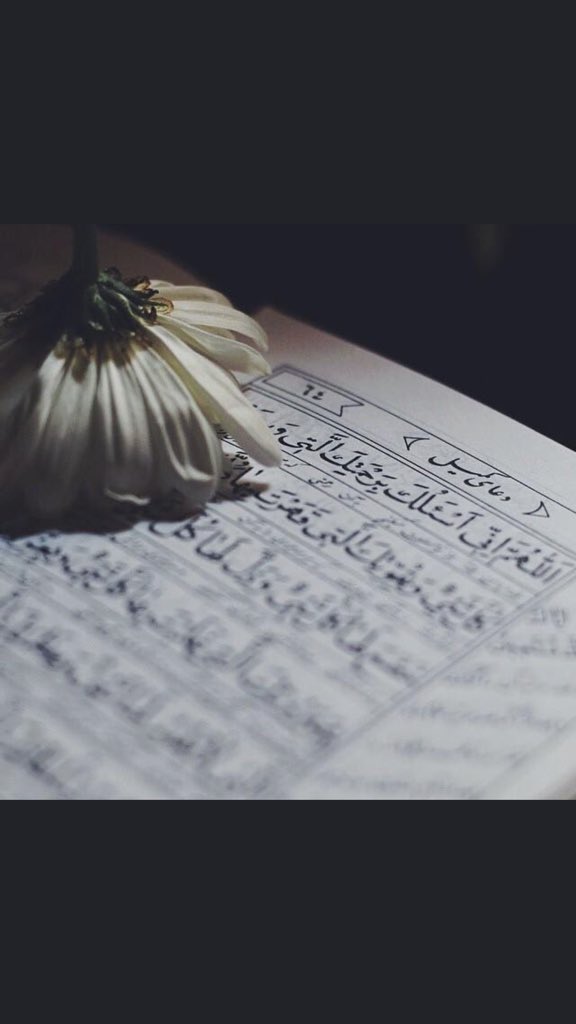 وَاجْعَلْ لِسانِي بِذِكْرِكَ لَهِجاً
وَقَلْبِي بِحُبِّكَ مُتَيَّماً..🤎
