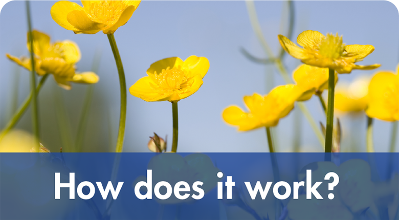 Looking for something fun to do this summer, love wildflowers, or just want to get out of the house? Then why not the National Plant Monitoring Scheme, a UK wide citizen science project? check it out!! npms.org.uk #NPMS2020 <a href="/theNPMS/">National Plant Monitoring Scheme</a>