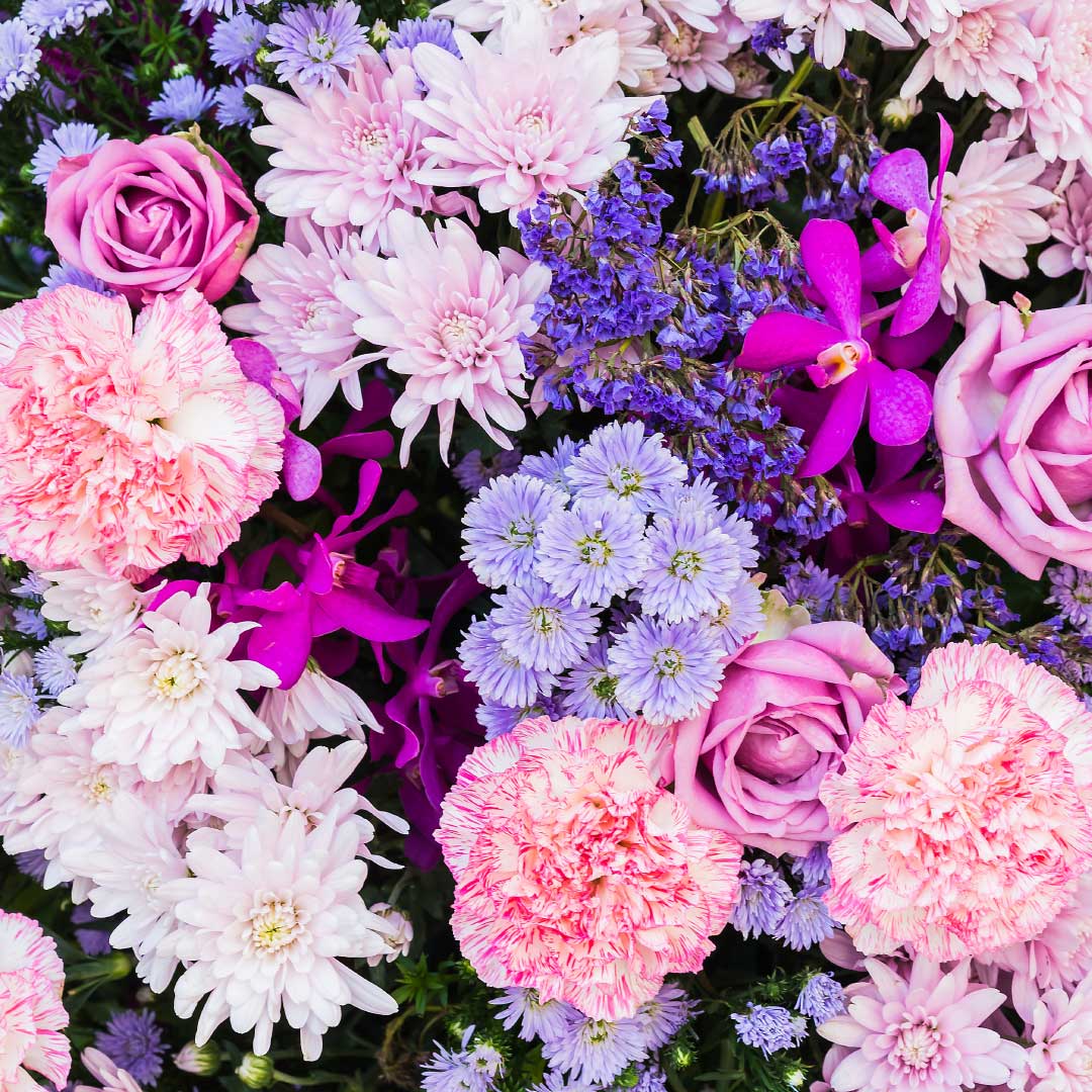 Los pajaritos cantan, el cielo está azul, las flores llenan de color el paisaje… ¡Llega una de las estaciones más alegres del año! Primavera, nos gustas mucho 🥰

#primavera #spring #marketing #publicidad #design #diseñografico #graphicdesign #marketingdigital #modocen