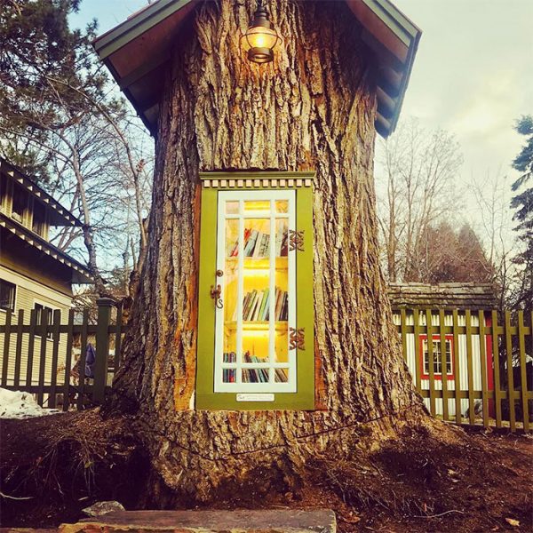 Dtechdirect's tweet photo. Is this one of the world’s smallest #libraries? When a 110-year-old tree needed to be removed in Idaho, a local #librarian decided she would transform the tree into a tiny free #library. What a great idea and perfect spot to read! 📚 #Innovation #WorldLibraries https://t.co/PXUpvSaJ3z