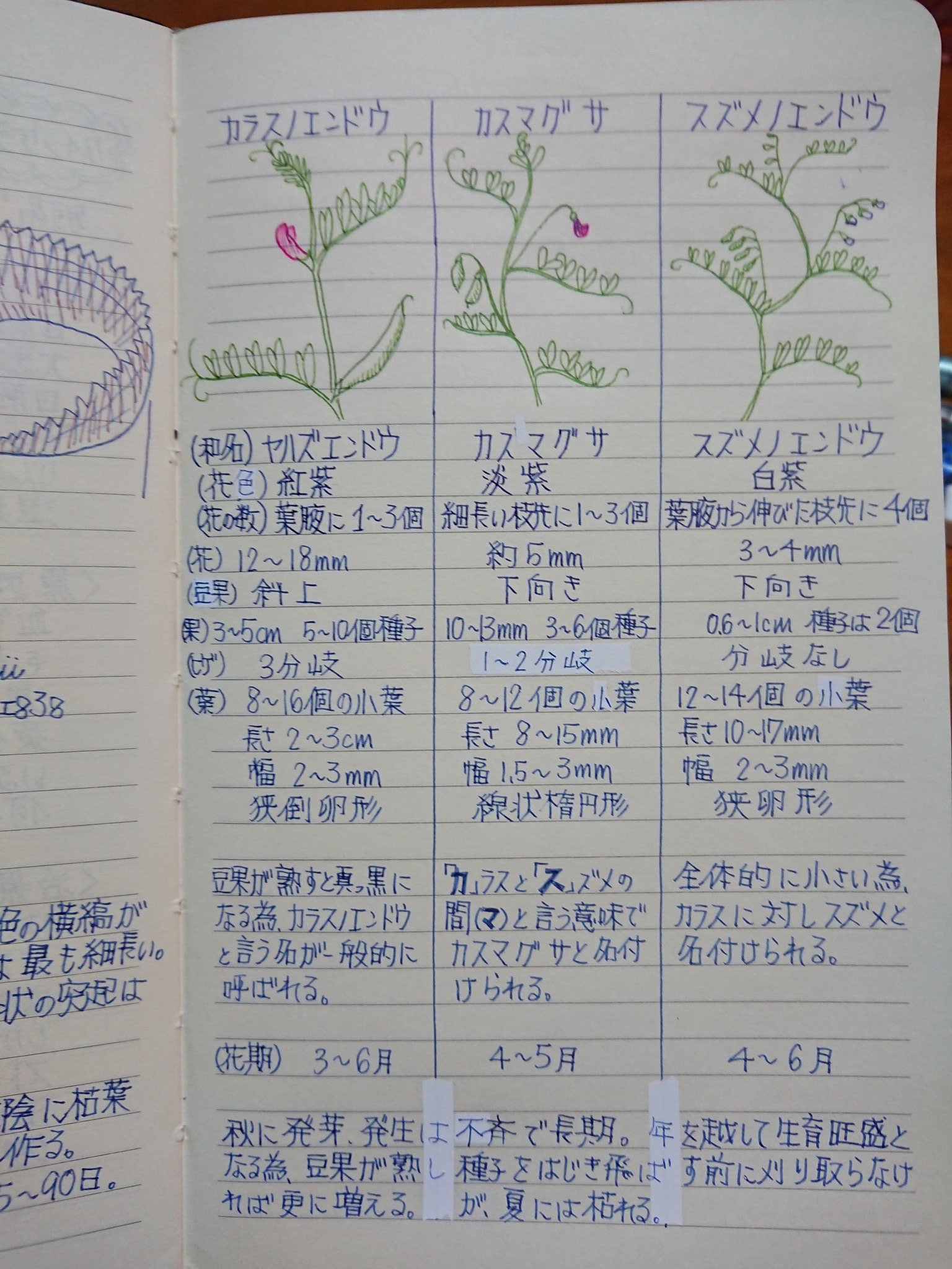 自主学習ノート Twitter Search Twitter