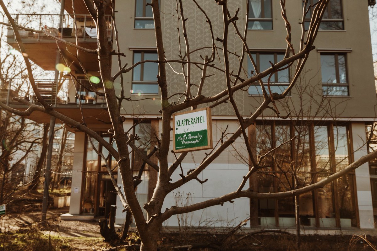 _makingfutures's tweet photo. “We should see co-operatives as living labs where communities re-invent housing.”

Wonderful article by #AssemblePapers about #Spreefeld. Interesting to read how the financial decisions are linked to ideas of community and sharing! https://t.co/kTvAwGYWS8