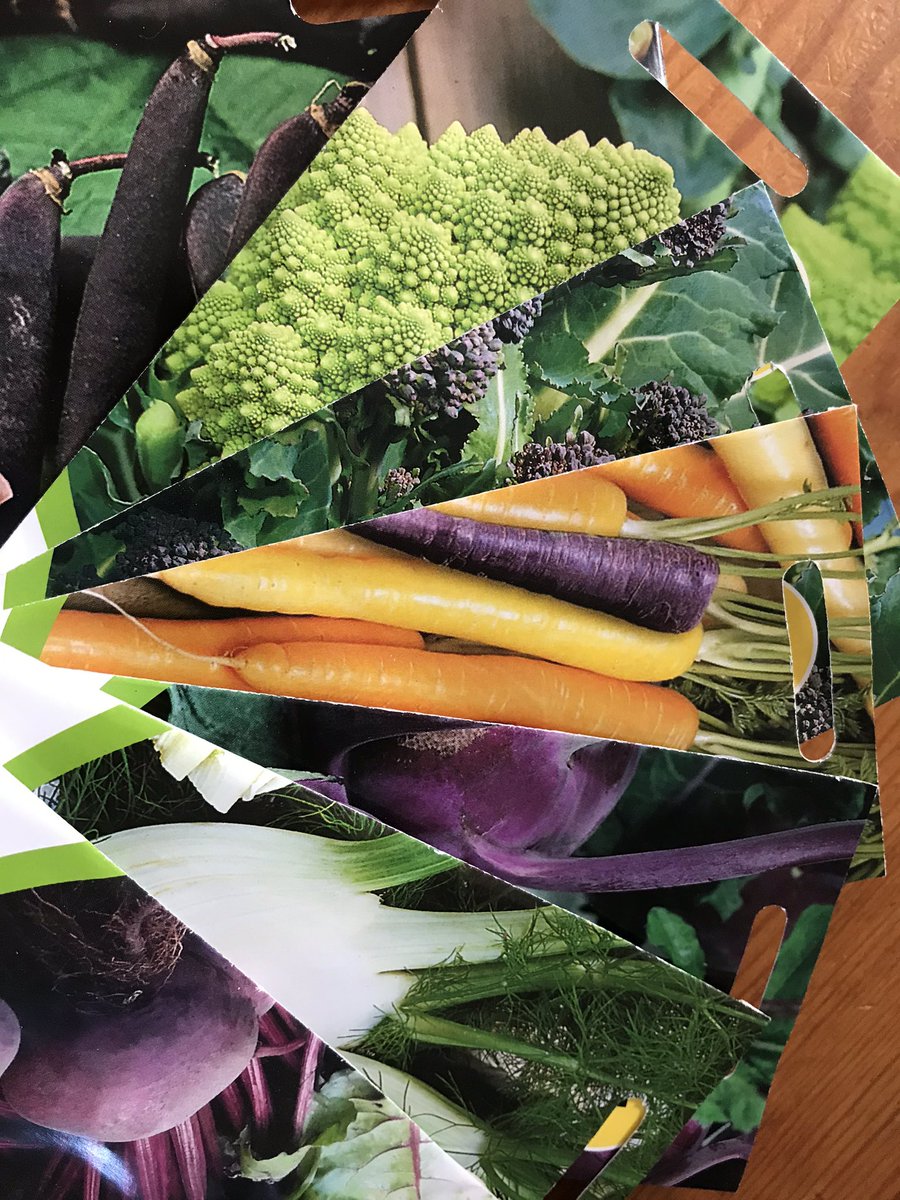 Some allotment tasks lined up for this weekend. Glad to still have the last of the beetroot, chard &amp; broccoli to supplement empty veg shelves in the supermarket!