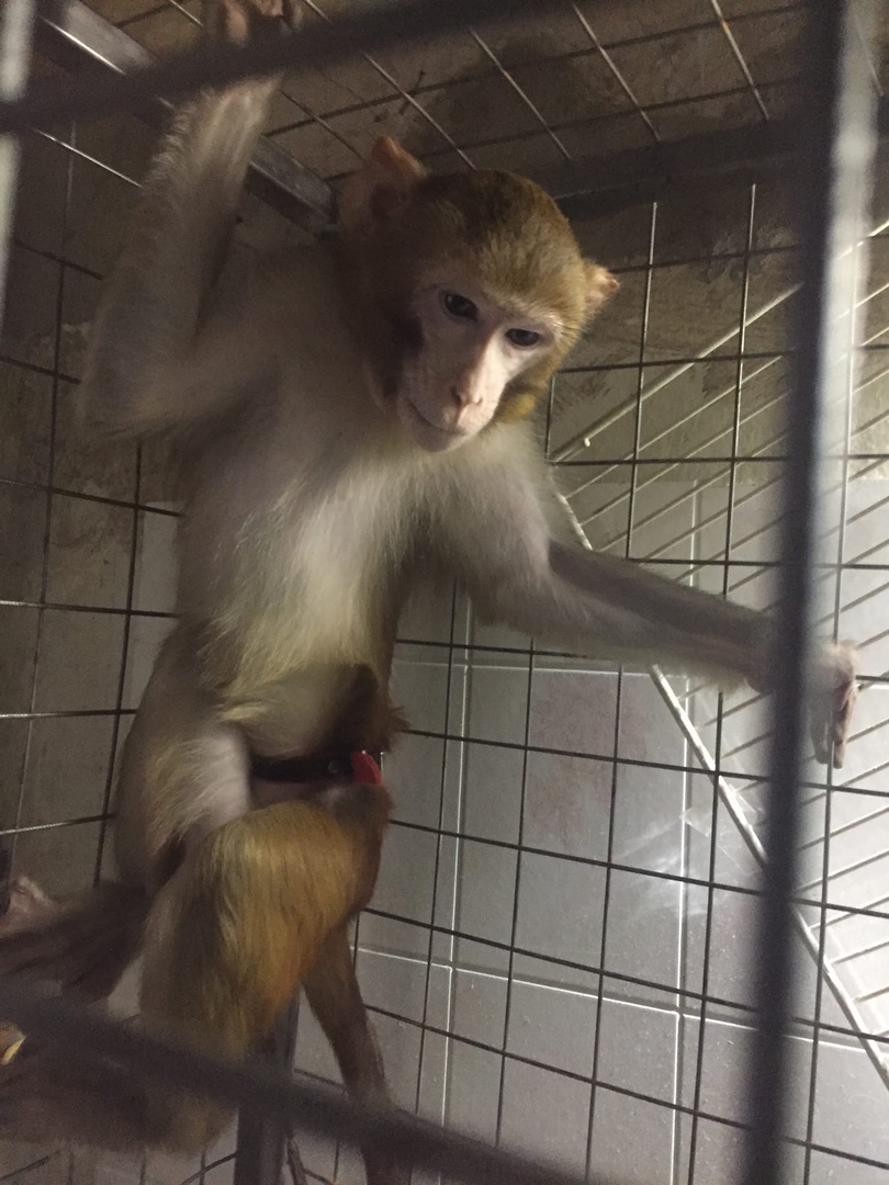 Новости Новости