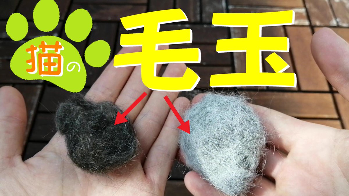 shichinosuke07's tweet photo. YouTube動画を投稿しました。皆さん見てください。
https://t.co/8AtzobGARn https://t.co/z6btSw9mEt