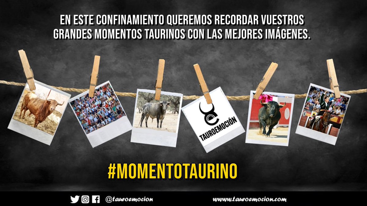 tauroemocion's tweet photo. 🔊 ¿Aceptas el reto de contarnos tu momento taurino favorito con una imagen❓

📸 Rescata tus fotografías favoritas y déjalas en este hilo. 

¡Participa, llena las redes sociales de toros! 🤘🏻

¡Abrimos hilo! ⬇️⬇️

#MomentoTaurino 🐂 https://t.co/IrOhyTVBQB