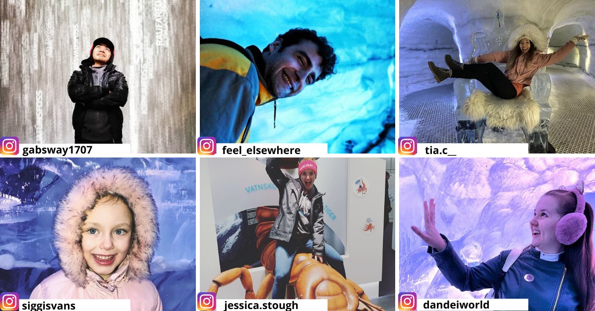 Today is the <a href="/UN/">United Nations</a> #internationaldayofhappiness, with the theme "Happier Together," focusing on what we have in common, rather than what divides us.

In these days of unease, we'd like to share this collection of happy Perlan visitors with you &lt;3

Stay healthy &amp; positive 💚