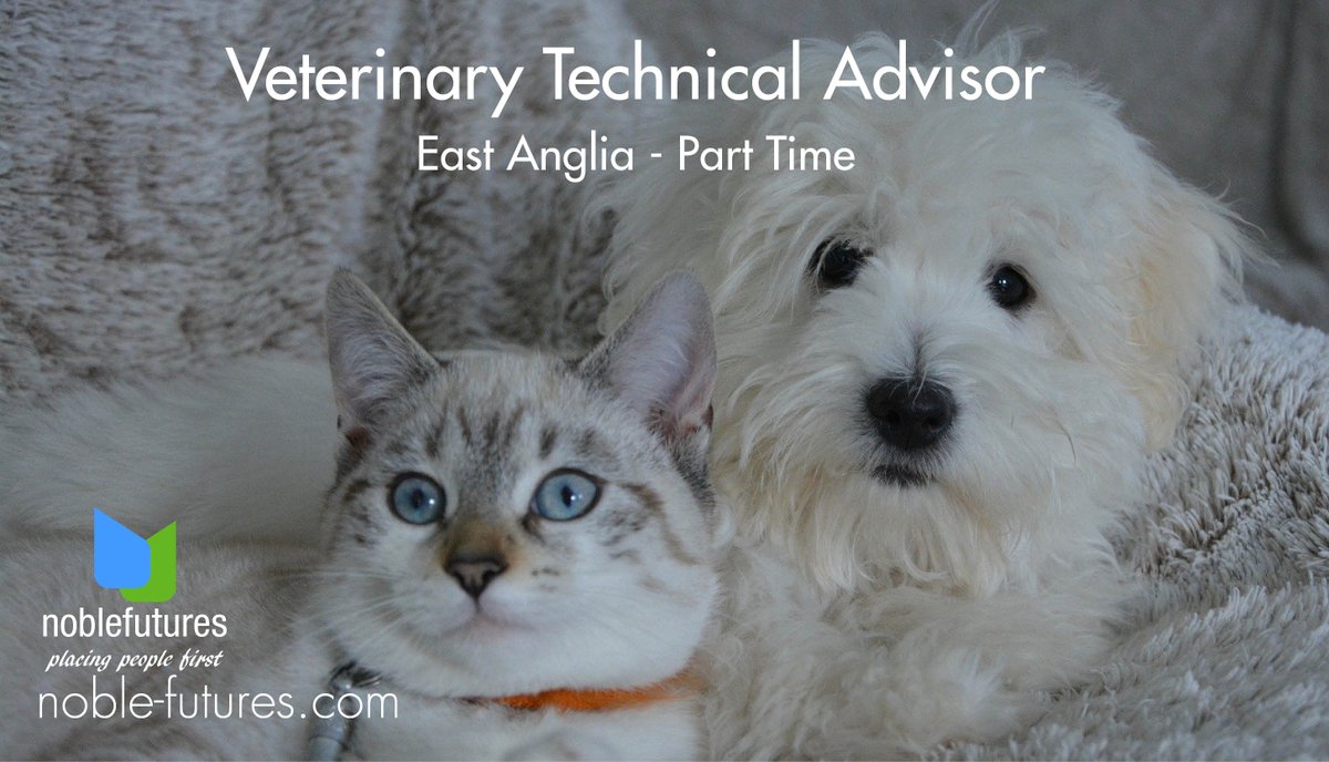noblefutures's tweet photo. Our clients a leading pharmaceutical company are seeking a part time Veterinary Technical Advisor to join their established team. See https://t.co/wGxunNuusg Ref 21433 for full details
#animalhealthjobs #recruitment #noblefutures https://t.co/5GgXwEZOU3