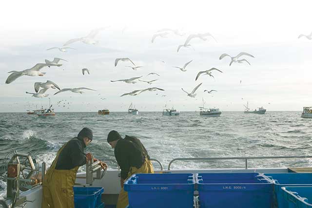 FishforThought1's tweet photo. Until the end of this horendous pandemic we will be swithcing to FREE DELIVERY on all HOME DELIVERY orders. Contactless delivery is available. We will do anything we can to help struggling fishermen sell their catch. visit https://t.co/XddkYZtojw for FREE NATIONWIDE DELIVERY https://t.co/IlSeTwtAtu