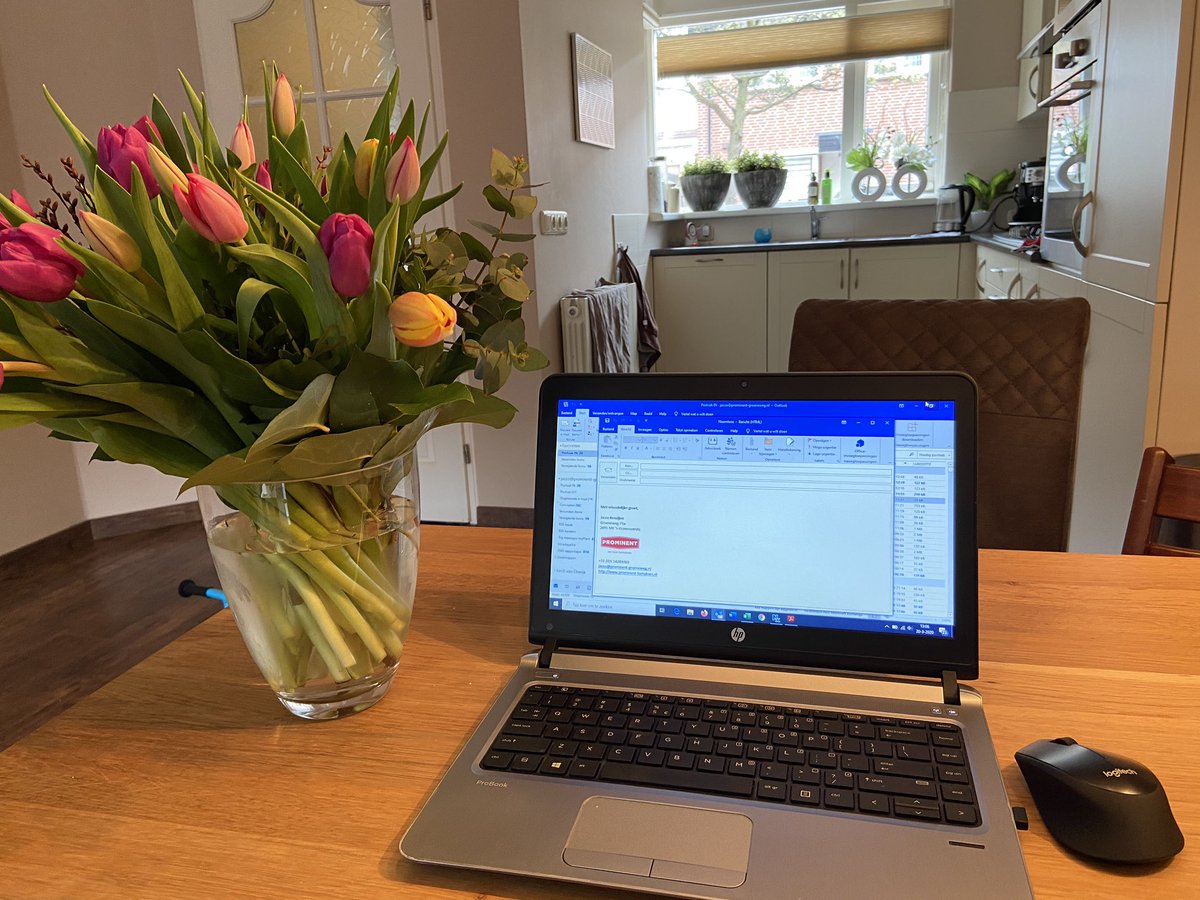 Thanks <a href="/promtomatoes/">Prominent tomatoes</a>, dat maakt het thuiswerken nog wat gezelliger👍 #flowerboostchallenge #steunaandesierteeltcollegas