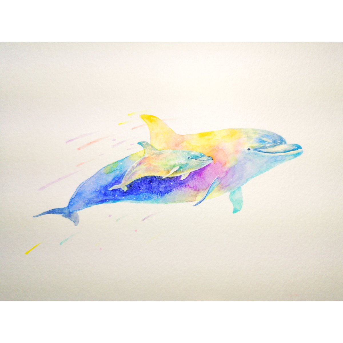 Hirotoshi Kanou Pa Twitter イルカの親子の絵 透明水彩で着彩 幸せそうに泳ぐ姿をカラフルに描いてみました イルカ 透明水彩 絵描きさんと繋がりたい 絵 イラスト好きな人と繋がりたい イルカ好き