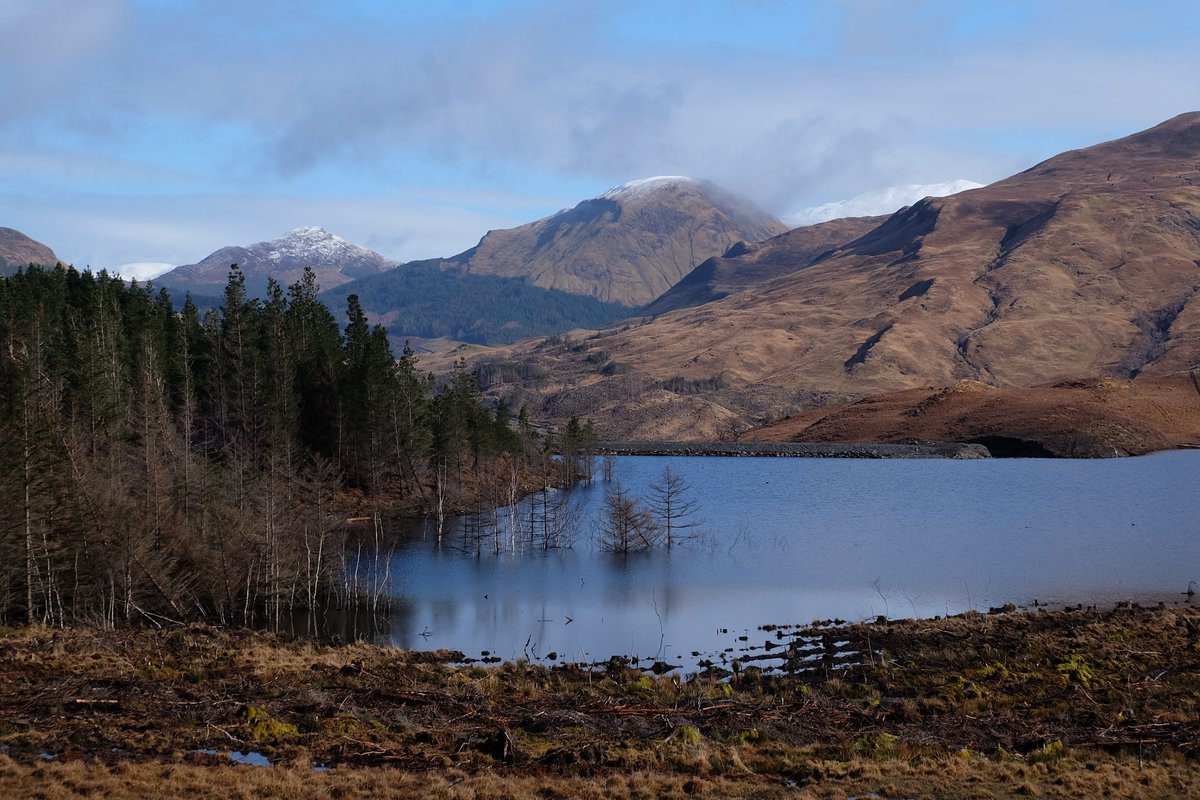 StMarysSpace's tweet photo. Blessed to have wide open space to explore & self isolate naturally. Working to keep my mental health positive & robust.
Keep yourself & your loved ones safe friends.
And keep creating.
#Argyll #scotland #selfisolating #nature #NaturePhotography #studiolocation #recordingstudio https://t.co/8Jo2asz8dO
