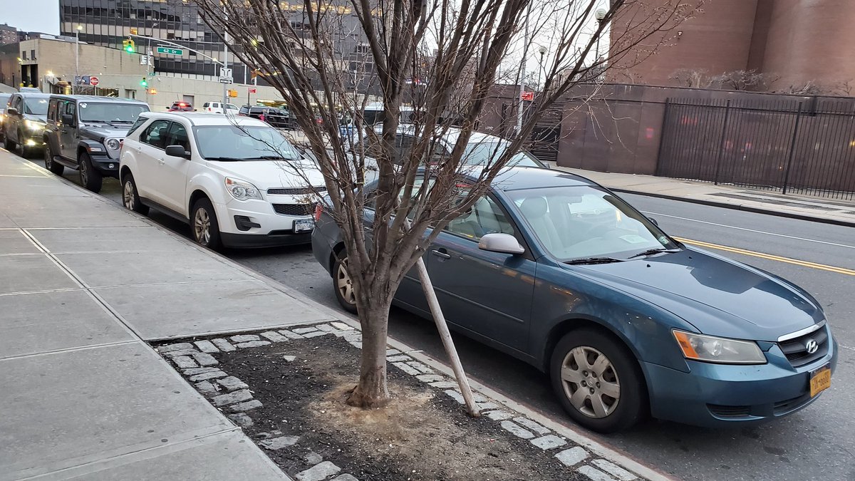WakefieldBxDave's tweet photo. @placardabuse More #Placardacorruption at the #JunctionBlvd No Standing Anytime zone outside @RegoCenter https://t.co/fSLDpFRGHF