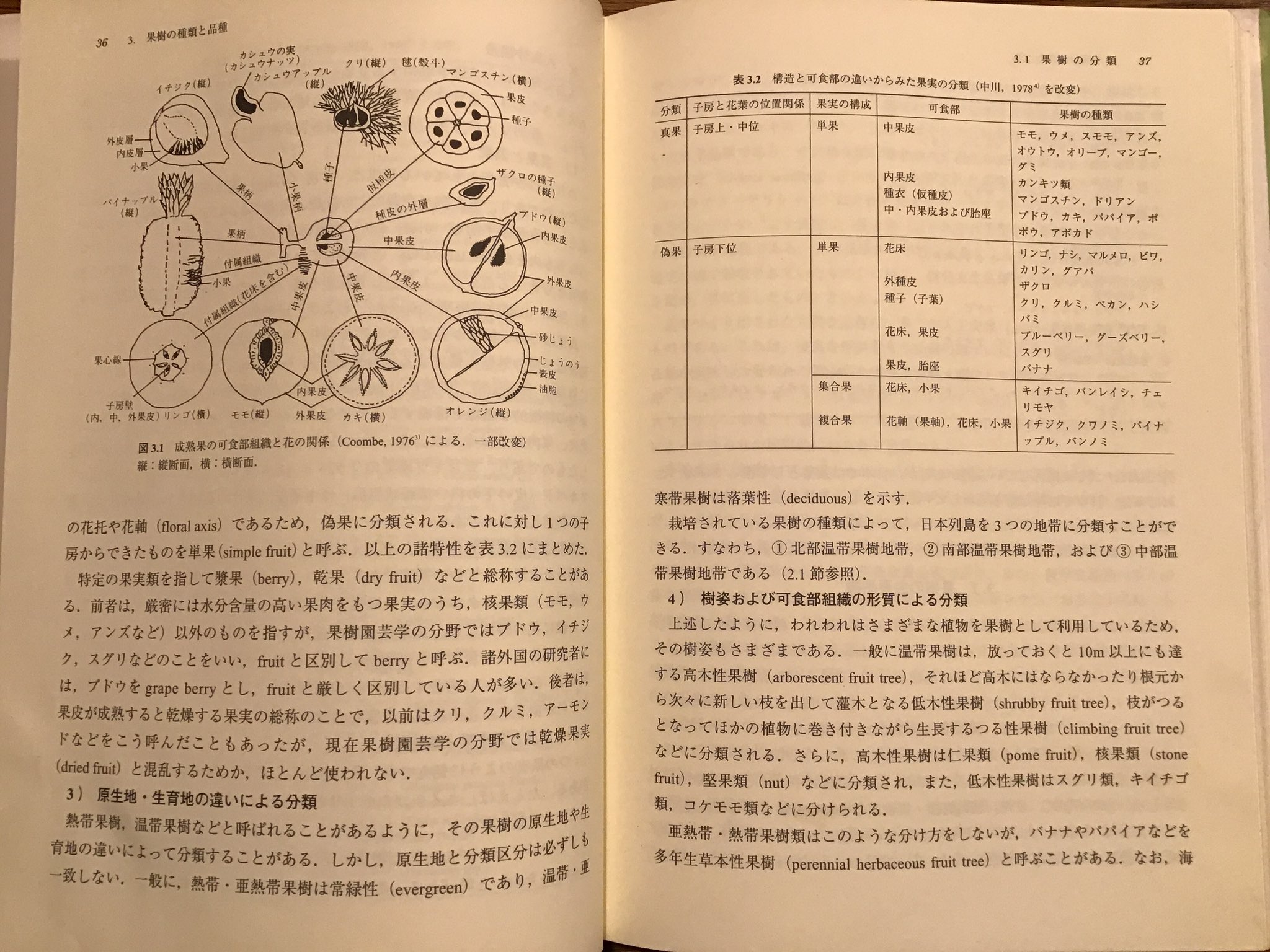 野鳥とか 同じく朝倉書店 最新果樹園芸学 より 主にカンキツ類の施肥 必須元素の欠乏および過剰症状 元素間の相互作用 拮抗作用 について カンキツ類を育てていて感じるのは施肥の難しさ 海外サイトにはnpkは3 1 1や8 3 9などの処方が見られる