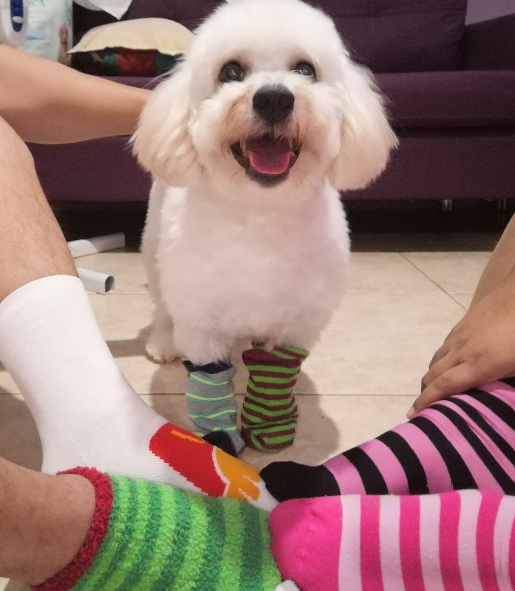 anicrisgalvez's tweet photo. El día de mañana 21 de Marzo se celebra el día mundial del Síndrome de Down y nosotros estamos haciendo conciencia desde hoy, ya que a pesar de nuestras diferencias, todos somos iguales!😍😍
#TrueAbilityPanama #WDSD2020 #iWork4Dell #HRFEVOLUTION @lifeatdell @delltech https://t.co/iAPZ9ILnml