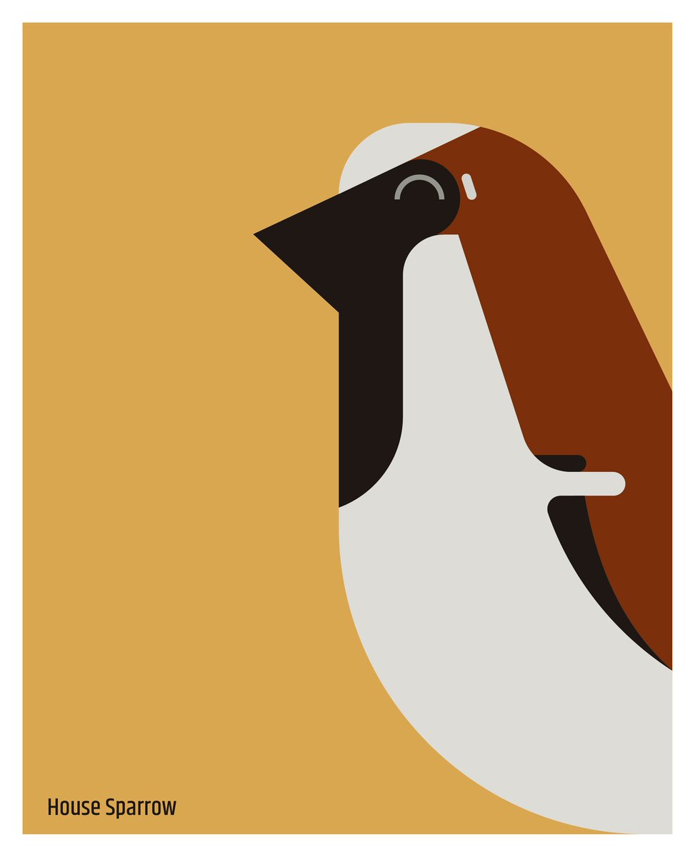 mitul987's tweet photo. #worldsparrowday #housesparrow https://t.co/yjCOAdtPvK