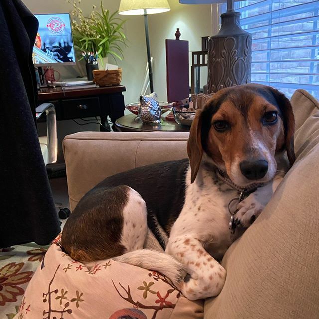 Dr. Flora tweet media