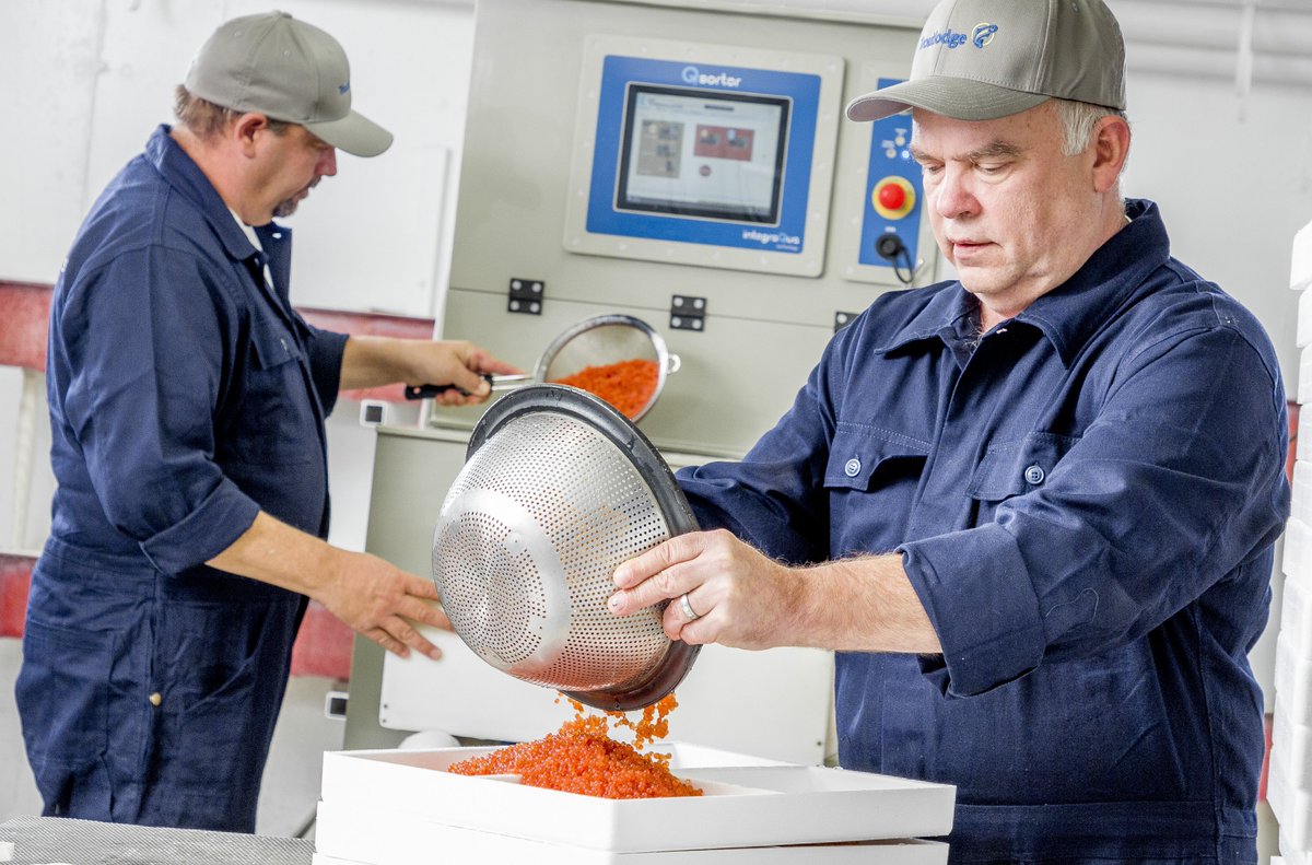 TroutlodgeInc's tweet photo. Troutlodge is committed to protecting our team members and ensuring the continuity of our trout egg supply to our customers. Read more on how we ensure business continuity. https://t.co/ofimNfDnjx https://t.co/wi53vs9bPL