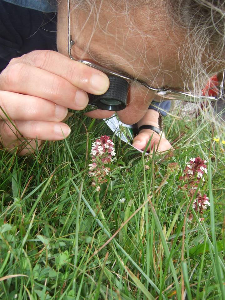 Key work published and contributed to by the NPMS can be found on the conservation and research page of our website npms.org.uk/content/conser… #NPMS2020 #citizenscience