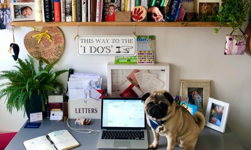 Optelma Lighting tweet media