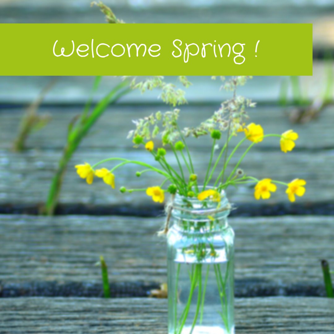 AZNETWORK1's tweet image. [#WelcomeSpring 🌻] 20 Mars 2020 - Le printemps est là ☀️