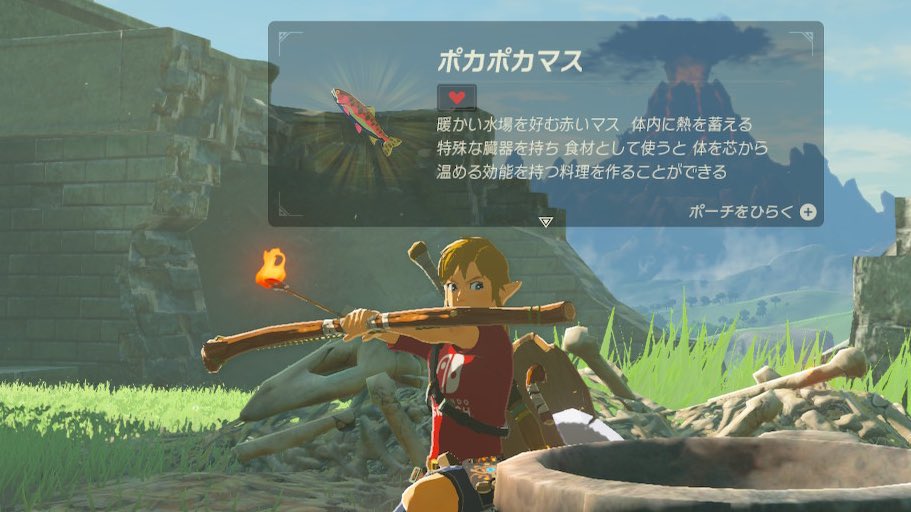 リンリン Sur Twitter 弓の構えを正面から見たい ゼルダの伝説 Breathofthewild