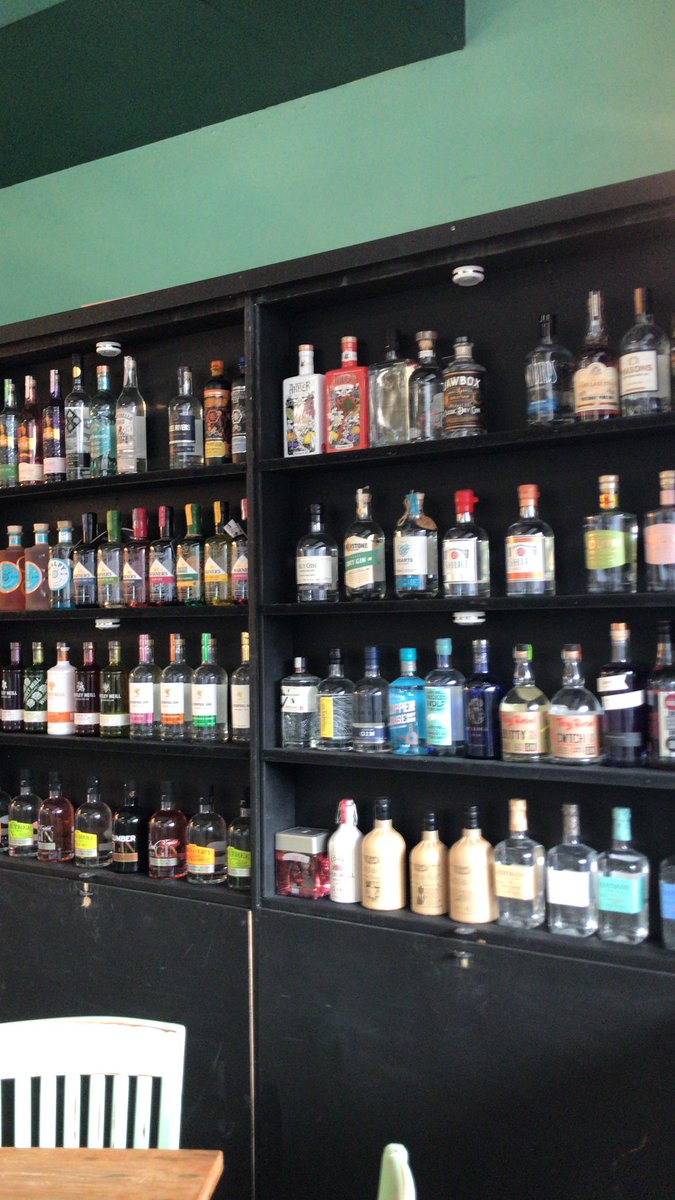 Gindifferent tweet media