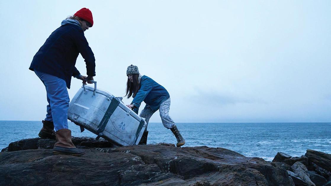 South County Times tweet media